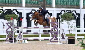 Concours officiel de saut d'obstacles: El Ghali Boukaa remporte le Grand Prix SM le Roi Mohammed VI Concours officiel de saut d'obstacles: El Ghali Boukaa remporte le Grand Prix SM le Roi Mohammed VI