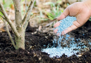 Crise ukrainienne : Pénurie d’engrais, aubaine pour l’OCP ? Crise ukrainienne : Pénurie d’engrais, aubaine pour l’OCP ?