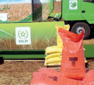 Crise ukrainienne : Pénurie d’engrais, aubaine pour l’OCP ?