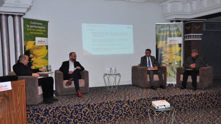 Meknès / Maghreb Oléagineux : Colza et Tournesol, deux cultures stratégiques en plein essor Meknès / Maghreb Oléagineux : Colza et Tournesol, deux cultures stratégiques en plein essor