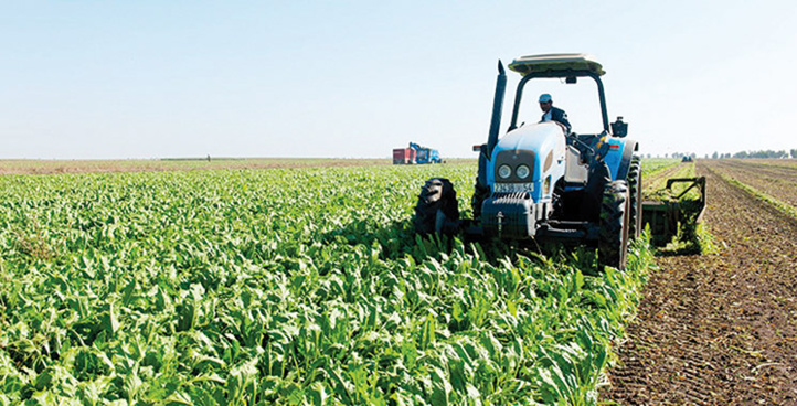 La MAMDA démarre l'indemnisation des agriculteurs à partir du 1er avril La MAMDA démarre l'indemnisation des agriculteurs à partir du 1er avril