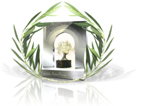 Meknès / Trophée Premium "Volubilis Extra-Vierge Maroc 2022" : Potentiel qualitatif fort intéressant pour les marchés européen et américain Meknès / Trophée Premium "Volubilis Extra-Vierge Maroc 2022" : Potentiel qualitatif fort intéressant pour les marchés européen et américain