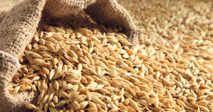 Crise russo-ukraine : Approvisionnement en blé, l’autre guerre lente et ravageuse pour le continent Crise russo-ukraine : Approvisionnement en blé, l’autre guerre lente et ravageuse pour le continent