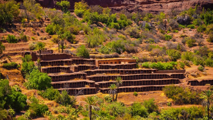 Agadir / Inzerki : Le plus grand et ancien rucher au monde, déserté ! Agadir / Inzerki : Le plus grand et ancien rucher au monde, déserté !