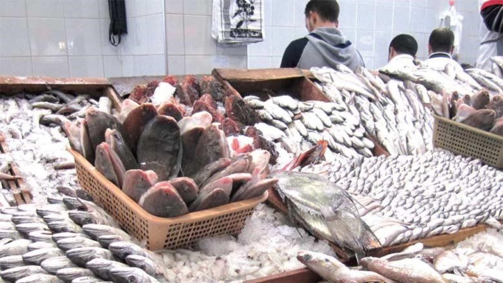 Rabat : Hausse record des prix de poisson