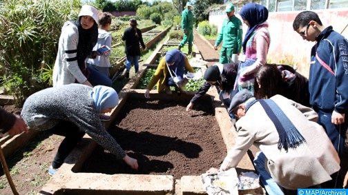 Bouknadel : Des élèves explorent l’art de distiller les plantes aromatiques aux Jardins exotiques