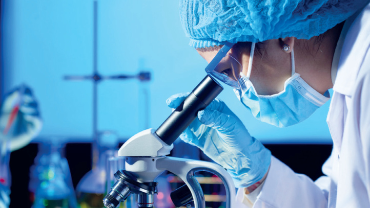 Enseignement supérieur : Le CSEFRS dresse un tableau noir de la recherche scientifique Enseignement supérieur : Le CSEFRS dresse un tableau noir de la recherche scientifique