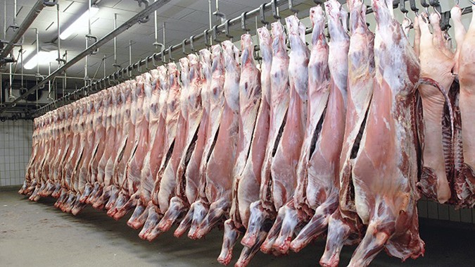 Casablanca : Les Abattoirs certifiés ISO 9001 pour la 5ème fois