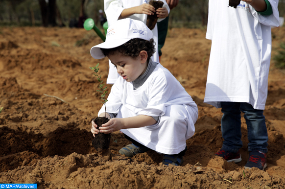 Casablanca Baia : Lancement du programme "écoles vertes" pour la sensibilisation des écoliers