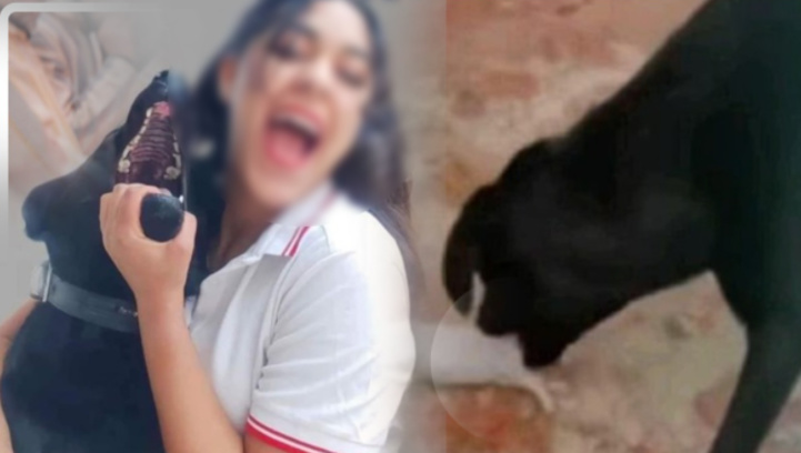 Après la grande polémique, la « tueuse de chatons » fait l’objet d’une plainte