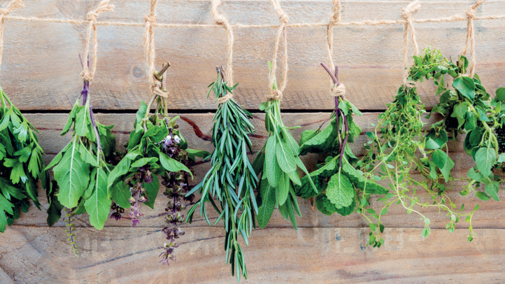 Plantes médicinales : Le Maroc, exportateur chevronné des remèdes d’antan Plantes médicinales : Le Maroc, exportateur chevronné des remèdes d’antan