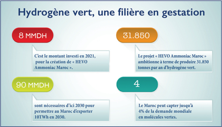 Transition énergétique : Hydrogène vert, un nouveau souffle pour l’industrie marocaine Transition énergétique : Hydrogène vert, un nouveau souffle pour l’industrie marocaine
