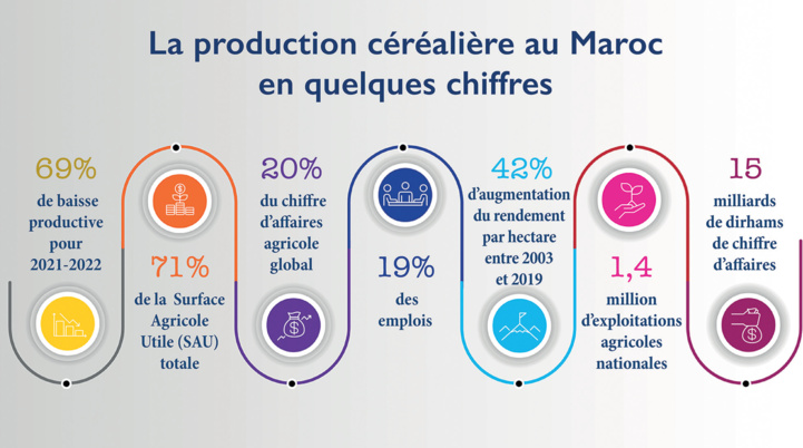 Cultures céréalières : Comment surmonter les chocs de la sécheresse ? Cultures céréalières : Comment surmonter les chocs de la sécheresse ?
