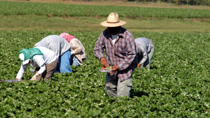 Couverture médicale au profit des agriculteurs : 4 conventions de partenariat signées Couverture médicale au profit des agriculteurs : 4 conventions de partenariat signées