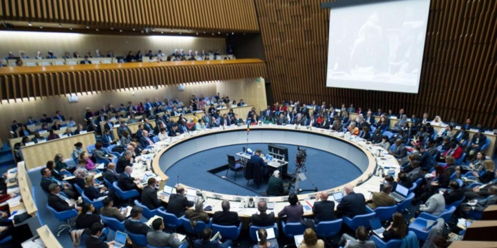Election du Maroc au Conseil Exécutif de l'OMS pour la période 2022-2025
