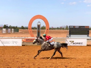 Courses de chevaux Pur-sang Arabe :  Clôture en apothéose du Festival de Son Altesse Sheikh Mansoor Bin Zayed Al Nahyan