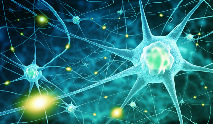 Système nerveux : Inauguration d'un forum scientifique à Tanger
