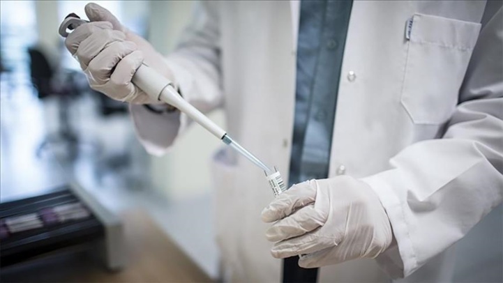 Variole du singe : L'OMS recense 80 cas dans 27 pays