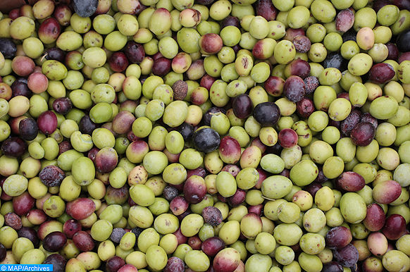 Conseil oléicole international : Le Maroc prend part aux réunions de la 115ème session Conseil oléicole international : Le Maroc prend part aux réunions de la 115ème session