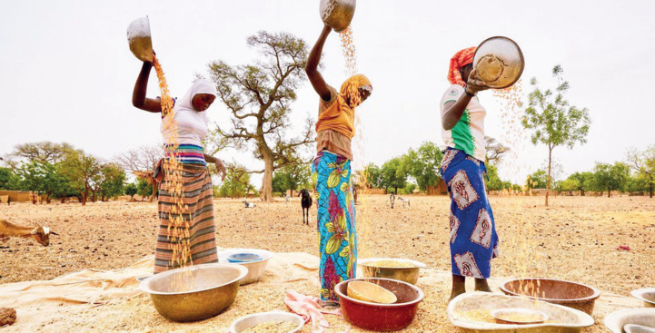 Crise Russie-Ukraine : Soutenir la production locale pour en finir avec la dépendance alimentaire Crise Russie-Ukraine : Soutenir la production locale pour en finir avec la dépendance alimentaire