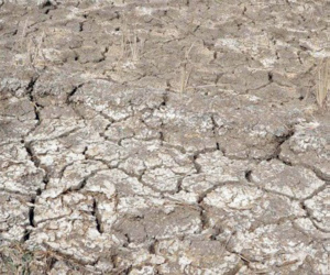 Eaux salines dans l’agriculture : Une solution nécessaire, mais périlleuse