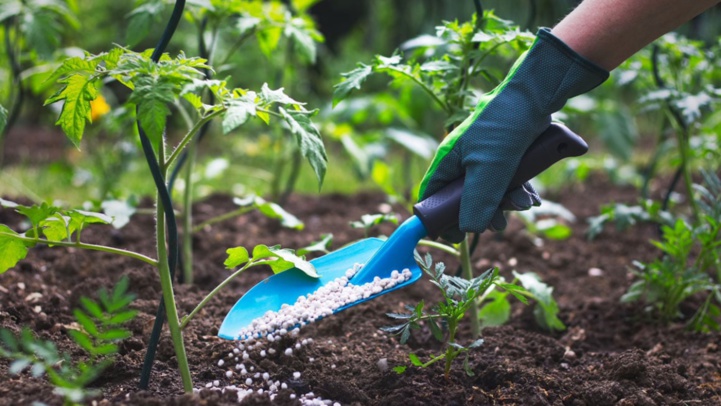 Industrie des engrais : Le Maroc compte implanter une usine d'engrais au Guatemala