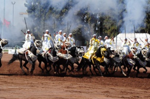 Trophée Hassan II de "Tbourida" : Huit sorbas seniors éliminées au premier tour Trophée Hassan II de "Tbourida" : Huit sorbas seniors éliminées au premier tour