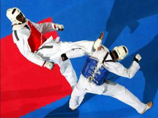 Jeux Méditerranéens (Taekwondo) : Fatima-Ezzahra Aboufaris et Omar Lakehal remportent la médaille d’argent