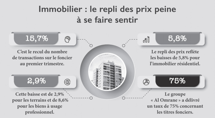 Crise de l’immobilier : Quels impacts sur le marché du foncier ?