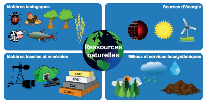 Recherche et innovation : Quels moyens pour mieux valoriser les ressources naturelles ?