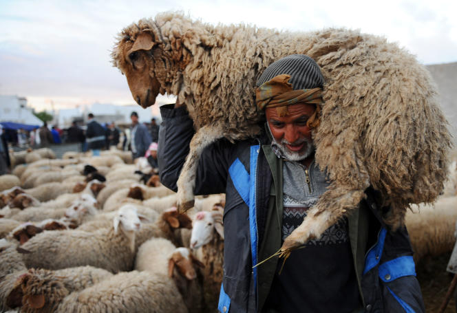 Les préparatifs se poursuivent un jour avant l’Aïd El Kebir Les préparatifs se poursuivent un jour avant l’Aïd El Kebir