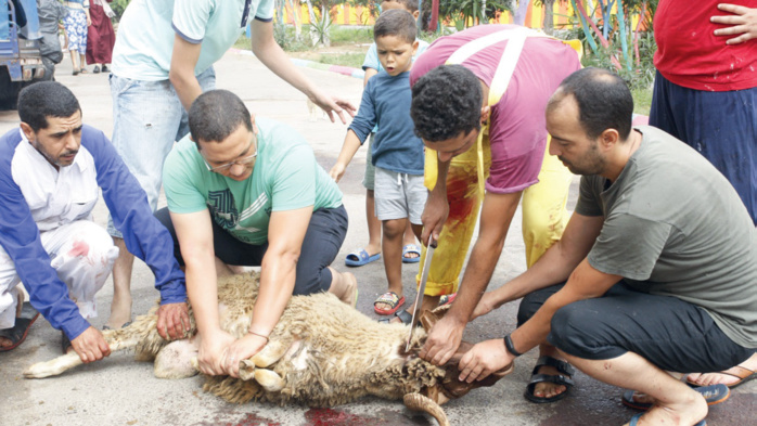 Aïd Al Adha : Rituels, traditions et préparatifs Aïd Al Adha : Rituels, traditions et préparatifs