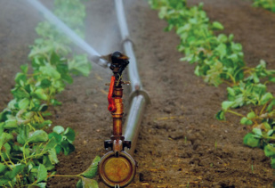 Politique hydrique : le Maroc à la croisée des chemins Politique hydrique : le Maroc à la croisée des chemins