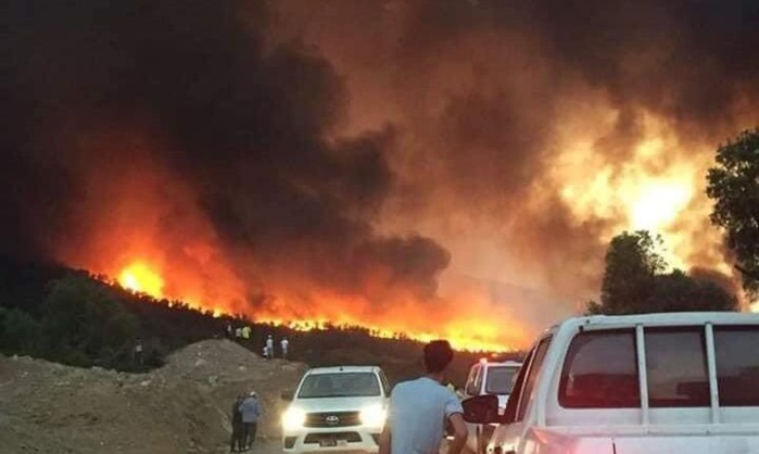 Canicule : les incendies font rage dans les provinces du nord (vidéo)