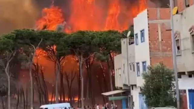 Larache : l’incendie a déjà ravagé 900 hectares de massifs forestiers