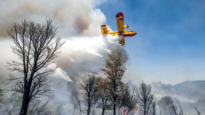 Feux de forêt : Le scénario du pire est-il encore à venir ? Feux de forêt : Le scénario du pire est-il encore à venir ?