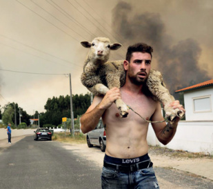 Feux de forêt : Le scénario du pire est-il encore à venir ? Feux de forêt : Le scénario du pire est-il encore à venir ?