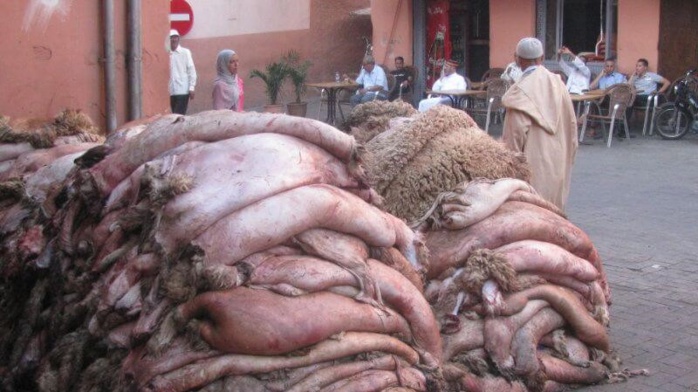 « Btana de l’Aïd » : Une aubaine pour l’industrie du cuir au Maroc ?