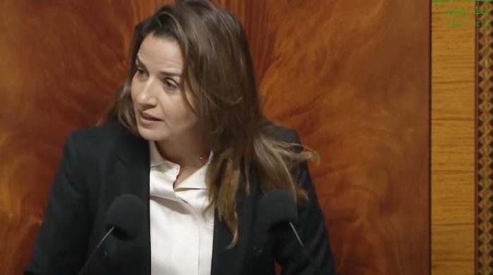 Coupures d’électricité dans le Sud : Benali s'explique à la première chambre Coupures d’électricité dans le Sud : Benali s'explique à la première chambre