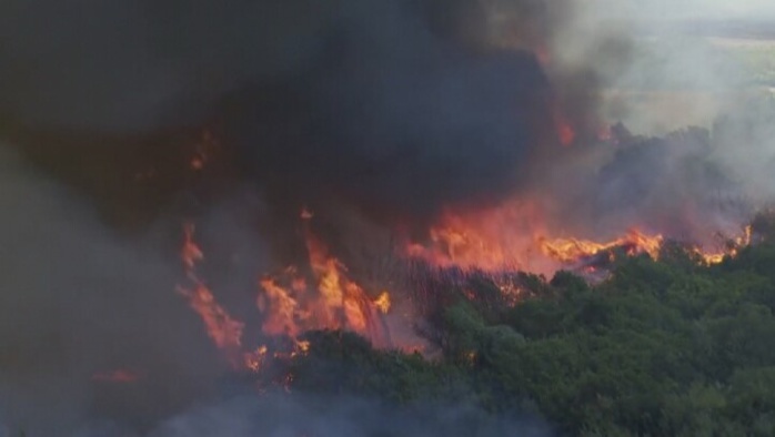 Larache : Les incendies, enfin maîtrisés ! Larache : Les incendies, enfin maîtrisés !