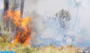 Feu de forêt : Mise en place de cellules de suivi et d’évaluation