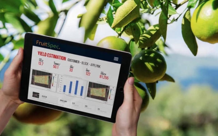 Agro-industrie : L'entreprise israelienne FruitSpec s'installe au Maroc Agro-industrie : L'entreprise israelienne FruitSpec s'installe au Maroc