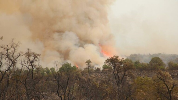 Béni Mellal : Au moins 25 hectares brûlés partis en fumée Béni Mellal : Au moins 25 hectares brûlés partis en fumée