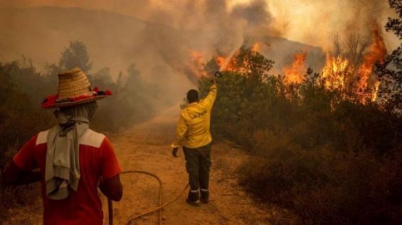 Feu de forêt : Une personne trouve la mort à Taounate 