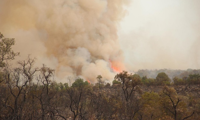 Tétouan : l’incendie de la forêt à Bni Hassan maîtrisé selon des sources locales