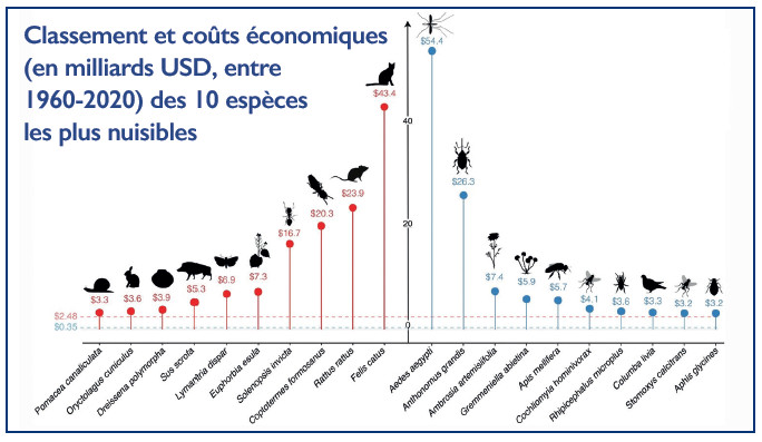 Journée internationale du chat : Des griffes de fer dans des pattes de velours