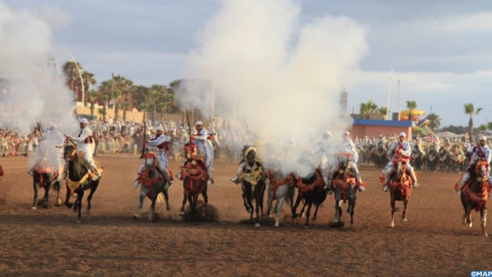 El Jadida : Entre les Doukkalis et le cheval, un lien particulier El Jadida : Entre les Doukkalis et le cheval, un lien particulier