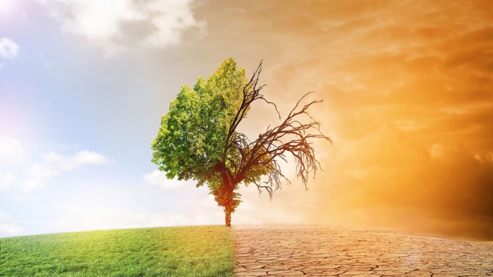 Etude : Quand le changement climatique aggrave les maladies infectieuses ! Etude : Quand le changement climatique aggrave les maladies infectieuses !