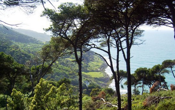 Réchauffement climatique et gestion désastreuse de nos municipalités urbaines