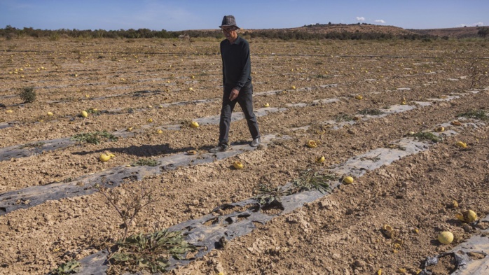 Face au manque d'eau, des villageois entre larmes et fatalisme (REPORTAGE)